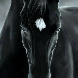 Meet your Posher, Karin